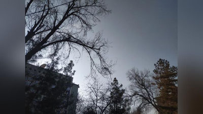 Изрображение 'В Ташкенте сегодня еще один теплый день перед наступающей волной похолодания'