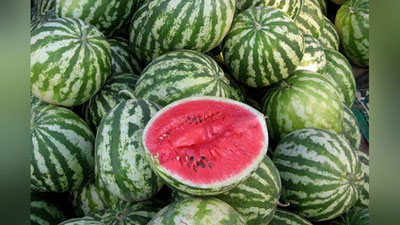 Изрображение 'Узбекистан может обновить прошлогодний рекорд по экспорту арбузов'