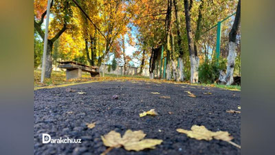 'Bugun O`zbekiston bo`yicha yog`ingarchilik kutilmaydi, harorat esa…'ning rasmi