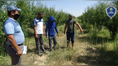 Изрображение 'Конфликт в саду в Сурхандарье завершился поножовщиной с тяжелыми последствиями'