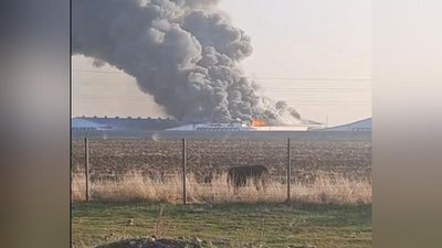 Изрображение 'В Пскенте горит птицефабрика (видео)'