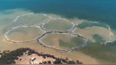 Изрображение 'В Джизаке 5 тысяч молодых людей воссоздали гигантские олимпийские кольца (видео)'