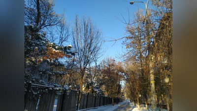 Изрображение 'В Ташкенте потеплеет до +8: погода на 15 декабря'