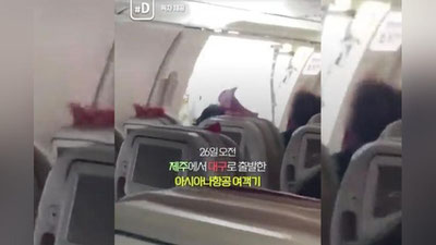 Изрображение 'В корейском лайнере во время полета распахнулась дверь (видео)'