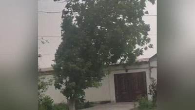 Изрображение 'Из-за сильного ветра в Самаркандской области наблюдаются перебои в подаче электроэнергии'