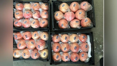 Изрображение 'Таможенники остановили на границе более 4-х тонн гранатов'