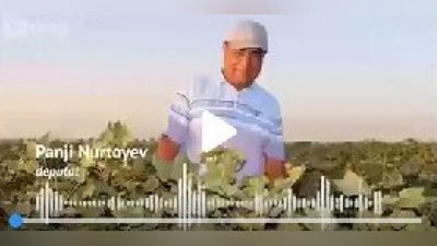 'Qashqadaryoda o`quvchini kaltaklagan deputat jurnalistni so`kdi(audio)'ning rasmi