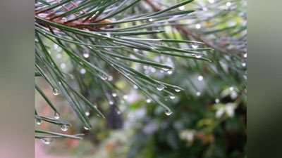 Изрображение 'ГДЕ В УЗБЕКИСТАНЕ 5 МАЯ ОЖИДАЕТСЯ ДОЖДЬ?'