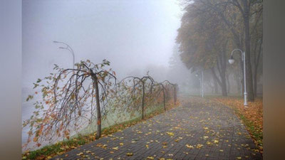 'Dam olish kunlari O`zbekistonga sovuq ob-havo kirib keladi - “O`zgidromet”'ning rasmi