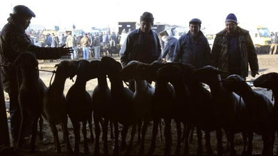 'Qirg`izistonliklarga yangi  soliq joriy etilishi mumkin'ning rasmi