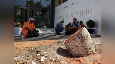 Изрображение 'На улице Шота Руставели спилили две чинары: ущерб составил 191 млн сумов'