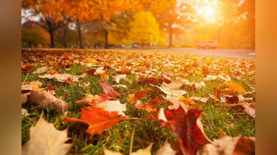 'Bugun harorat 13-18 daraja iliq bo`ladi, yog`ingarchilik kutilmaydi'ning rasmi