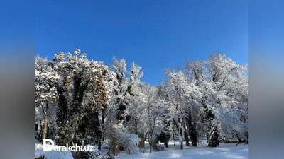 '"O`zgidromet" shoshilinch axborot e`lon qildi. Unga ko`ra...'ning rasmi