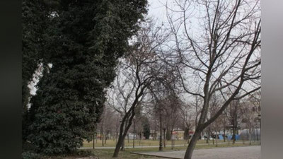 'Bugun ba`zi viloyatlarda yomg`irli ob-havo bo`ladi'ning rasmi