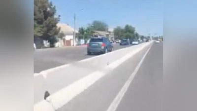 'Sirdaryoda Tracker yo`lning qarama-qarshi yo`nalishida harakatlandi (video)'ning rasmi