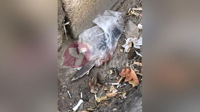 'Олмалиқда 48 ёшли эркак 56 ёшли эркакни пичоқ билан ўлдирди (фото 18+)'ning rasmi