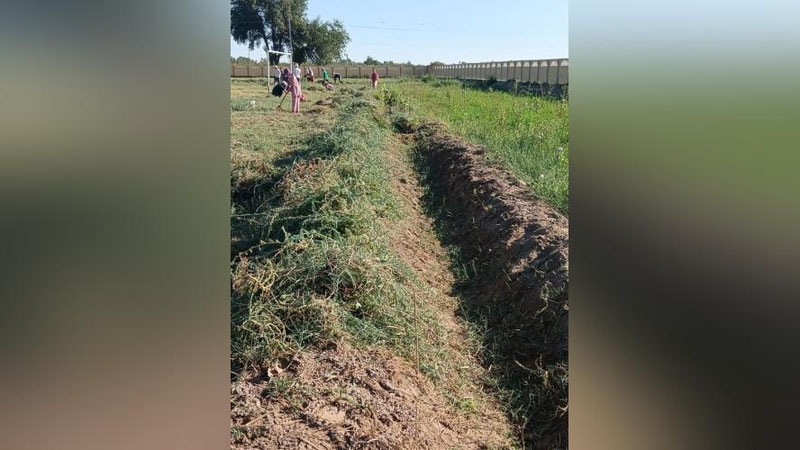 'Xorazmda maktab direktori jarimaga tortildi'ning rasmi