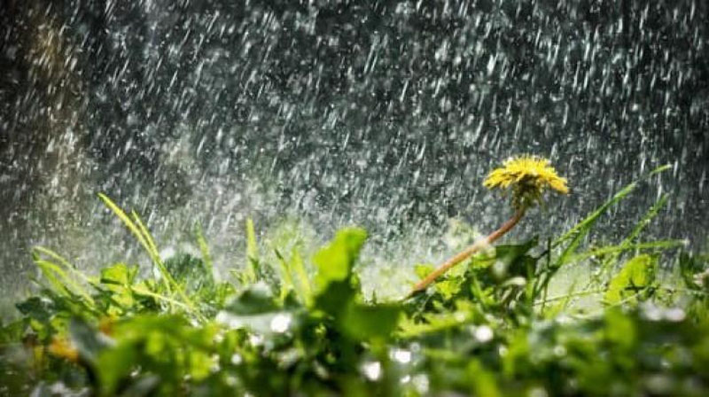 'Bugun O`zbekistonning qator hududlarida yomg`ir yog`ishi kutilmoqda'ning rasmi