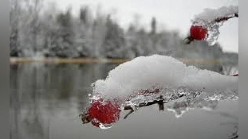 'Bugun O`zbekistonning ayrim hududlarida qor yog`ishi mumkin'ning rasmi