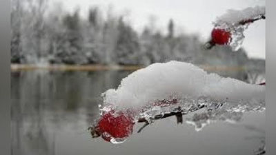 'Bugun O`zbekistonning ayrim hududlarida qor yog`ishi mumkin'ning rasmi