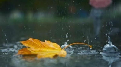 Изрображение 'На неделе узбекистанцев ждут температурные качели и снова дождь'