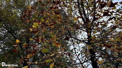 '“O`zgidromet” bugungi ob-havo prognozlarini e`lon qildi'ning rasmi