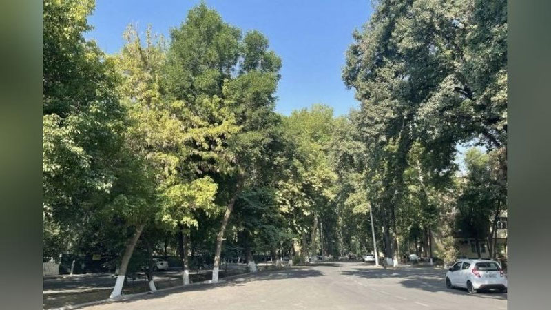 'Bugun ham O`zbekistonda harorat 40 darajagacha ko`tariladi'ning rasmi