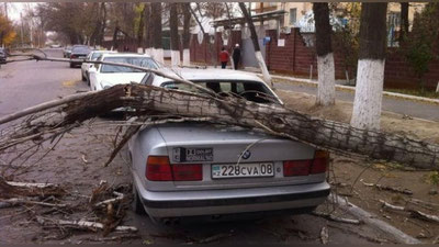 Изрображение 'В КАЗАХСТАНСКОМ ТАРАЗЕ ПРОНЕССЯ УРАГАН: ПОСТРАДАЛИ 3 ЧЕЛОВЕКА'