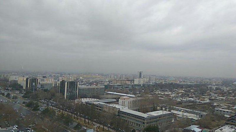 Изрображение 'В Ташкенте до +13, временами дождь: погода на 16 марта'