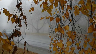 Изрображение 'Рейс Москва - Ургенч не смог произвести посадку в аэропорту назначения'