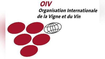 Изрображение 'УЗБЕКИСТАН ВСТУПАЕТ В МЕЖДУНАРОДНУЮ ОРГАНИЗАЦИЮ ВИНОГРАДАРСТВА И ВИНОДЕЛИЯ'