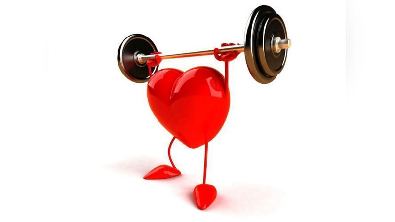 Изрображение 'НАЙДЕН ПРОСТОЙ СЕКРЕТ ЗДОРОВОГО СЕРДЦА'