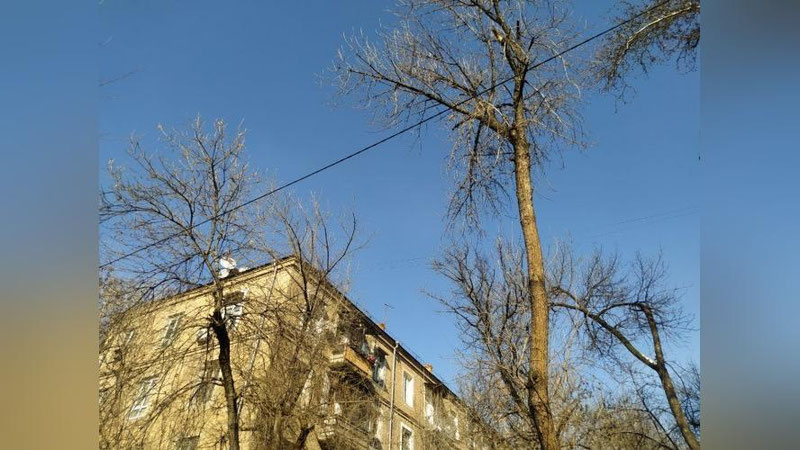 Изрображение 'В Ташкенте воздух прогреется до +11: погода на 5 февраля'