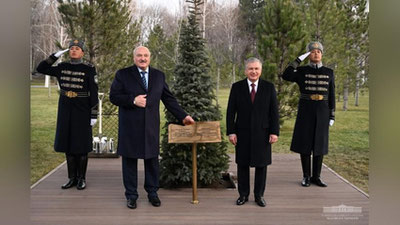 Изрображение 'В завершение узбекско-белорусского саммита лидеры посадили дерево на Аллее почетных гостей в "Куксарое"'