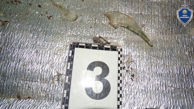 Изрображение 'Пьяная ссора под Самаркандом закончилась смертью женщины'