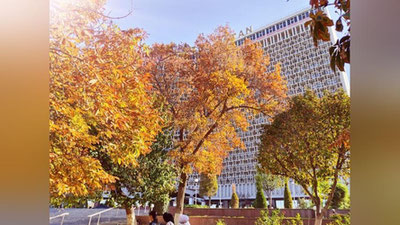 Изрображение 'В Узбекистане сегодня будет тепло и солнечно: погода на 17 ноября'