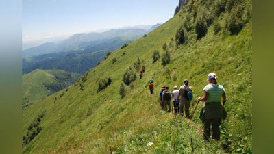 Изрображение 'В ЧИМГАНСКИХ ГОРАХ НАШЛИ ГРУППУ ЗАБЛУДИВШИХСЯ ТУРИСТОВ'