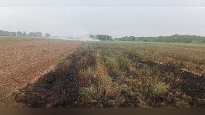 Изрображение 'Житель Джизакской области поджег поле после сбора урожая'