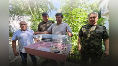 Изрображение 'Пресечена попытка вывоза из Узбекистана двух птенцов канюка-курганника'