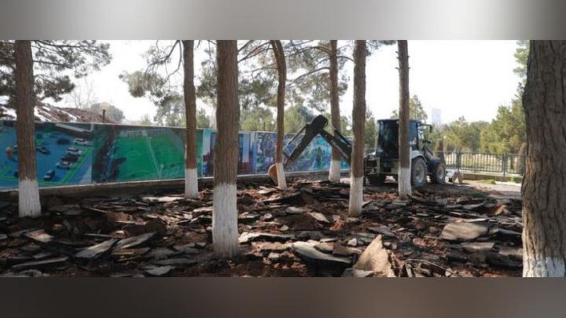 Изрображение 'В Сурхандарье обнаружили "Экосад" с закатанными в бетон деревьями'