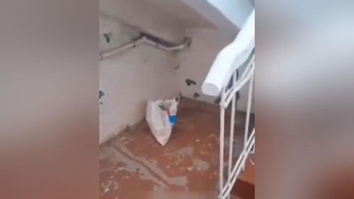 Изрображение 'Под лестницей в больнице в Карши нашли сумку с младенцем внутри (видео)'