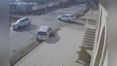 Изрображение 'В Самаркандской области пешехода придавило "Спарком" (видео)'