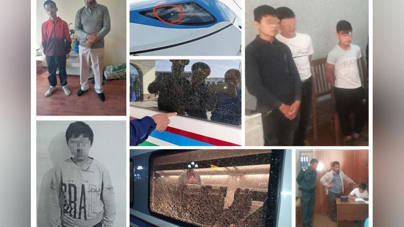 Изрображение 'Участились случаи швыряния камней в проходящие поезда: нарушителей предупредили о крупных штрафах'