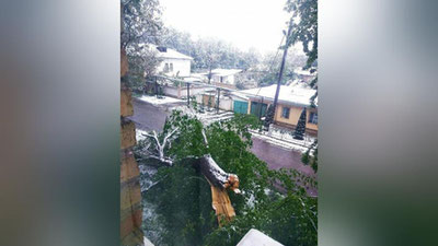 Изрображение 'Синоптики рассказали, как часто бывает снег в апреле'