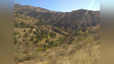 Изрображение 'Лето продолжается: синоптики озвучили прогноз на неделю'