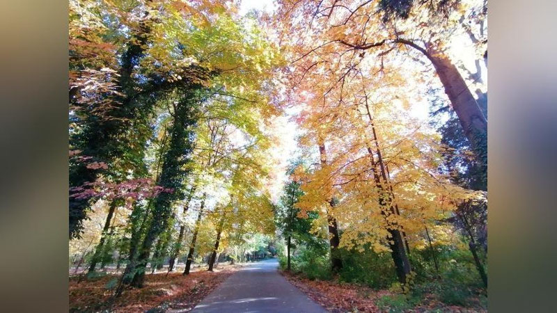 Изрображение 'В Узбекистане на выходных ожидается до +29'