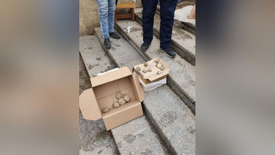 Изрображение 'Экологи негодуют: в Ташкенте продают живых черепашек в качестве игрушек для детей'