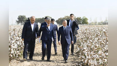 '"Sizlar bilan ko`rishib, hormanglar deb keldim". Prezidentning Sirdaryodagi tashrifi paxta dalasidan boshlandi'ning rasmi