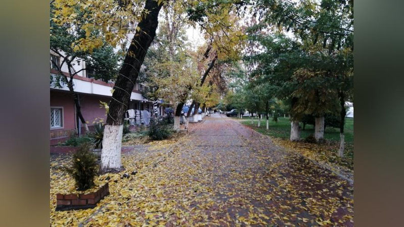 Изрображение 'В Ташкенте +7: погода на первый день зимы'
