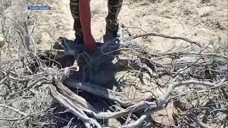 'Qozog`istonlik narkodillerlar Qizilqum cho`liga katta miqdorda "Tramadol" ko`mib ketgani aniqlandi (video)'ning rasmi